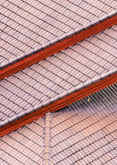 reforma tejada edificio logrono